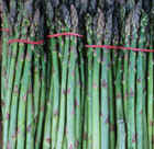 Asparagus.jpg