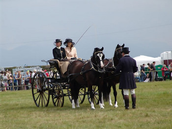 anglesey show.jpg