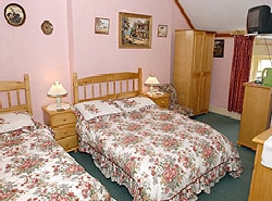 pic2.jpg