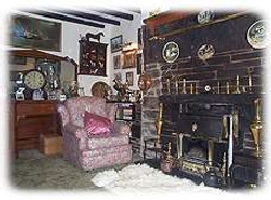 pic3.jpg