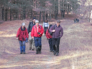 newborough walkers - copyright AWH.jpg