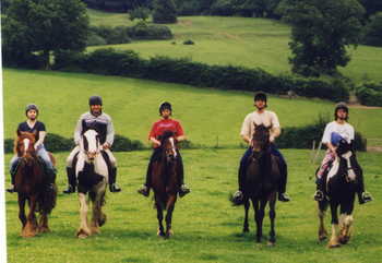 horse riding north wales