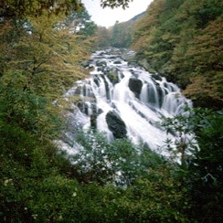 Swallow Falls