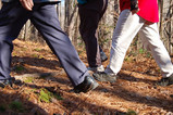 Denbighshire Walking Weekend.jpg