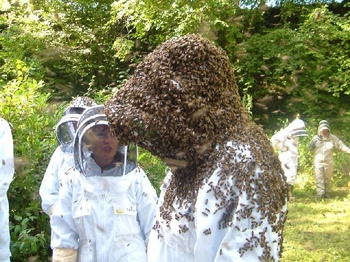 honey fair.jpg